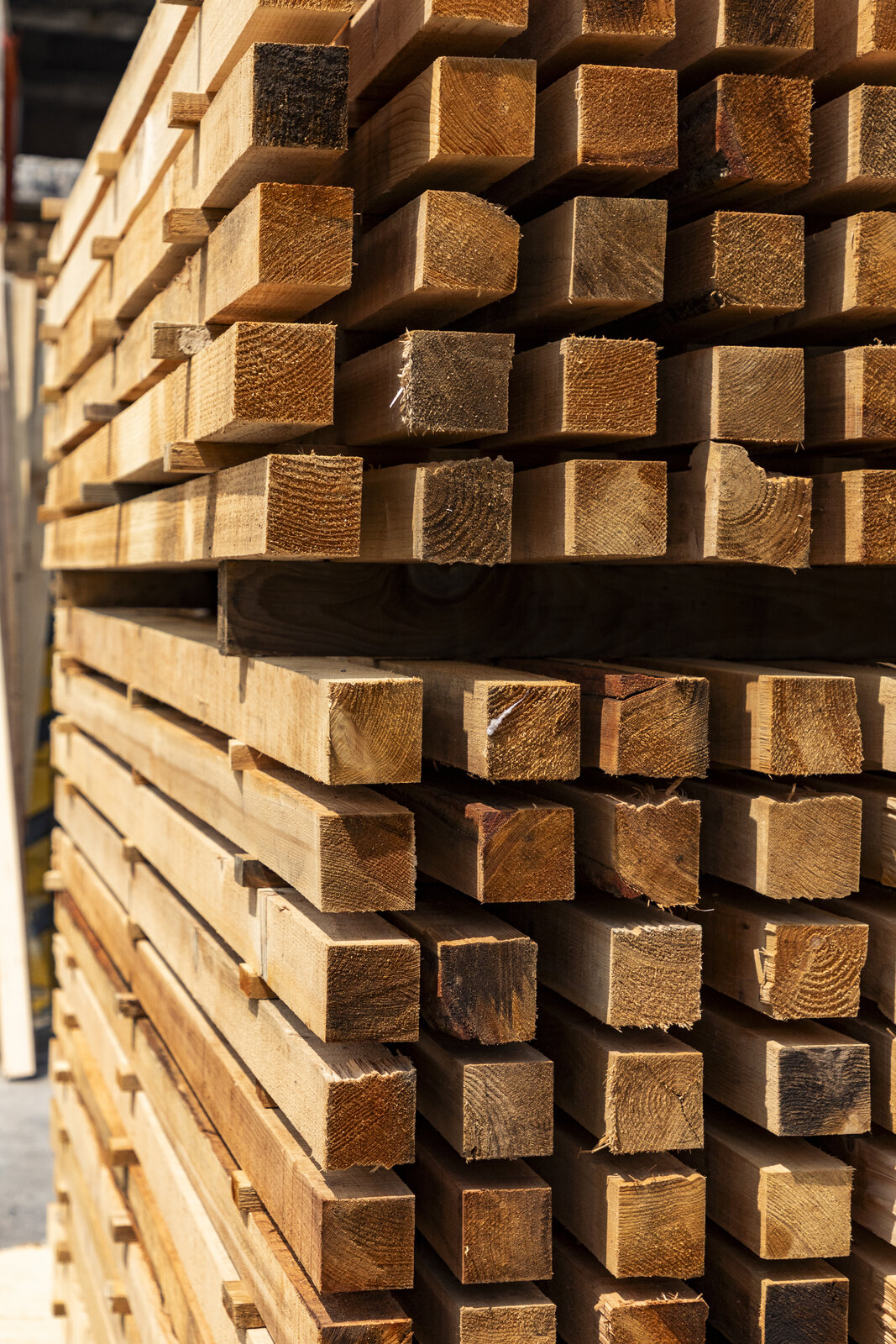 Polín de pino mexicano INFORES para construcción